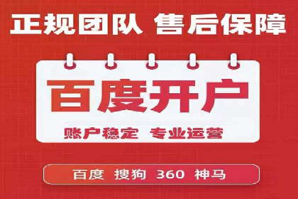 SEM运营推广策略案例分析